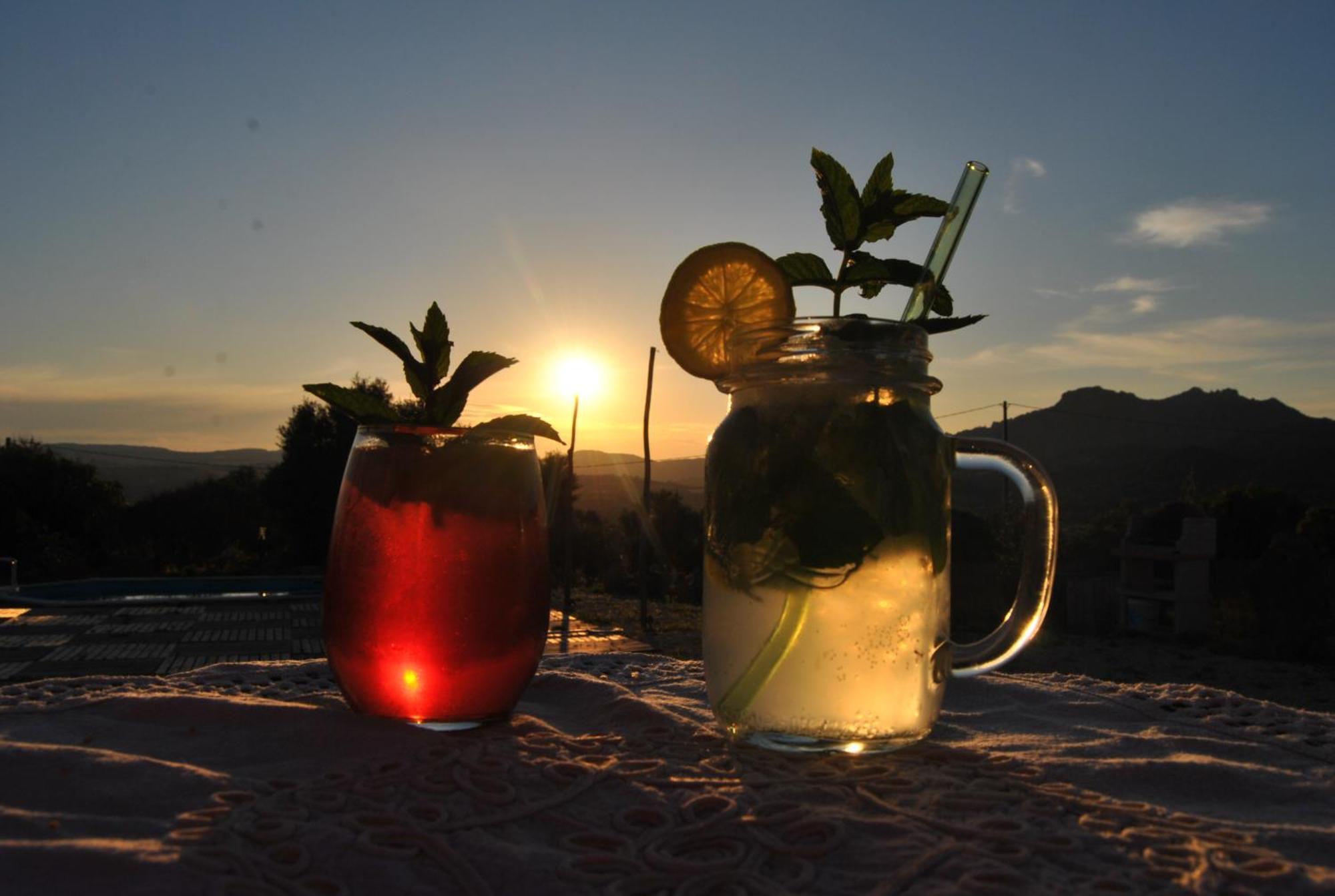 Pasare Glamping_Anglonaruralexperience Hotel Perfugas Exterior foto
